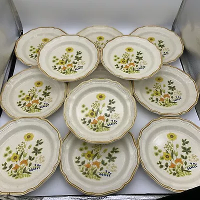 Lot Of 12 Mikasa Garden Club Fresh Floral EC 404 8  Salad Plates Vintage • $89.99