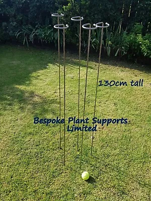 £15.99 • Buy Plant Stakes 130cm Tall Loop Stem/flower Supports. 6mm Mild Steel UK Made 5 Pack