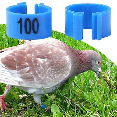  10mm 100Pcs Birds Chicken Poultry Leg Rings Band Tags Clip Leg Ring Band NEW • £7.06