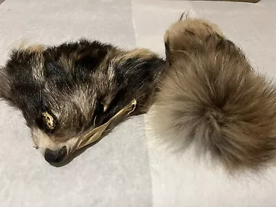 Tanned Finn Raccoon Face And Tail Great Quality Fur Trapping Fur Coat Keychains • $14.85