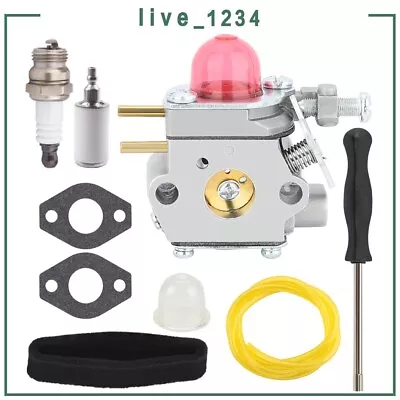 Carburetor Kit For MTD 753-06190 Weedeater Cub Cadet Troy Bilt Craftsman Trimmer • $15.09