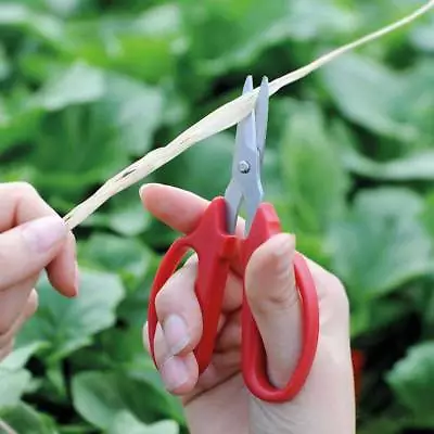 Garden Scissors Indoor Outdoor Garden Pruning Cutting Tidy Up Easily 1 Pair T&M • £12.99