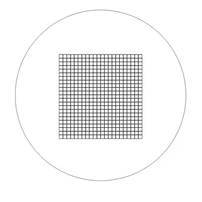 DIV 0.01mm Microscope Eyepiece Grid Net Ocular Graticule Measuring Scale 24.28mm • £11.40