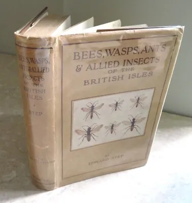 £34.99 • Buy 1932 Bees Wasps Ants + Allied Insects Step Wayside Woodland 1st Ed 44 Col Plts