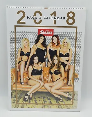 £24.99 • Buy The Sun Page 3 Girls Calendar 2018 Topless Glamour NEW SEALED