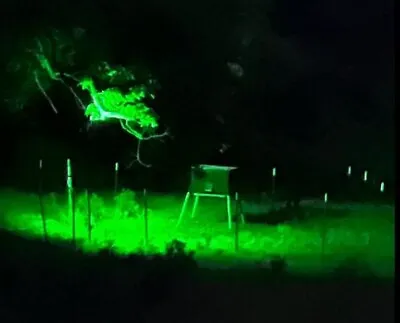 Night Hunting Hog Wild Game Solar Motion Activated Feeder Green Pig Light LED • $54.99