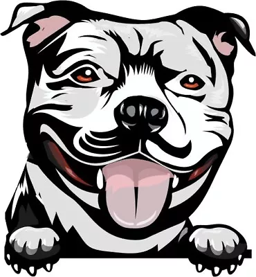 White Staffordshire Terrier Staffy Amstaff Dog Window Wall Laptop Sticker 100mm • $9.99