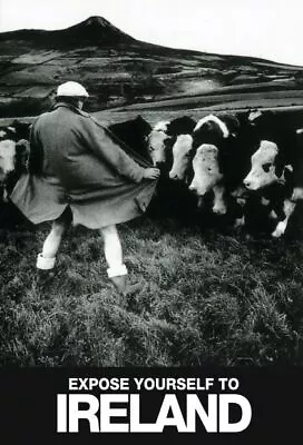 $14 • Buy Expose Yourself To Ireland Funny Poster Vacation Ireland