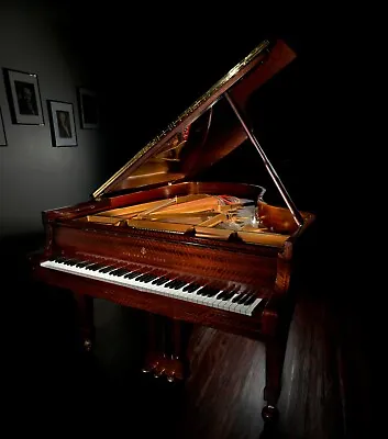 EXTREMELY RARE Hamburg Steinway B 6'11  Grand Piano In Bookmatch Sapele Mahogany • $114500