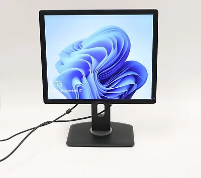 Dell P1913B Resolution 19  WideScreen LCD Flat Panel Computer Monitor Display • $39.99
