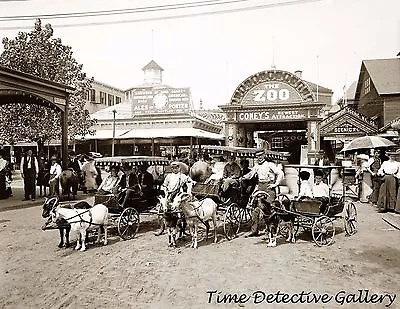 Goat Cart Rides Coney Island New York - 1905 - Historic Photo Print • $7.50