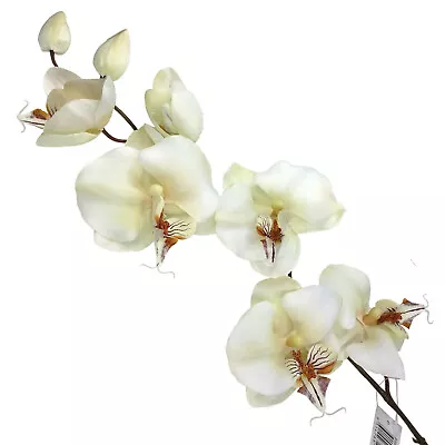 $25.35 • Buy White Phalaenopsis Orchids Flower Arrangement Artificial Floral Decor Bridal