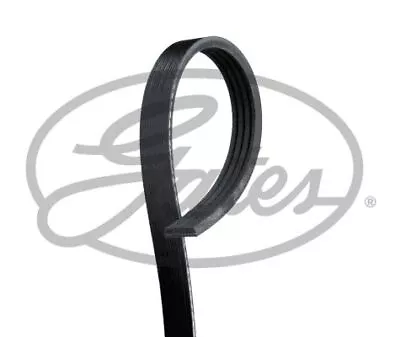 GATES Micro-V Drive Belt For Chrysler Sebring EDZ 2.4 April 2001 To April 2007 • $41.49