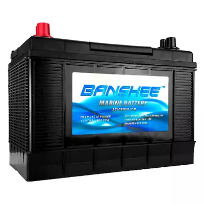 12 Volt 100 Amp Battery - Group 31 Marine Lead-Acid Battery - 800CCA • $239.88