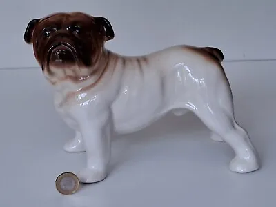 Vintage Huge Melba Ware Ceramic  Bulldog Bull Dog Gloss Perfect • £11.95