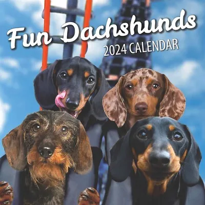 Fun Dachshunds Calendar 2024 - Humour - Month To View • £8.48