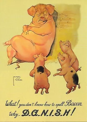 Danish Bacon - Reproduction Poster - Unposted Postcard • £1.20