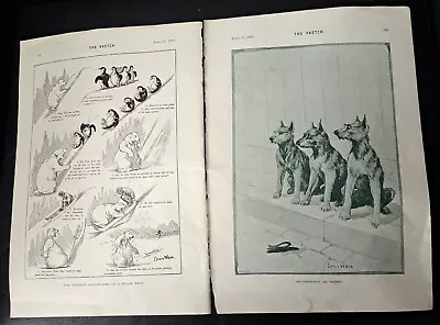 2 X 1893 Louis Wain Illustrations Sketch Magazine Pages • £5