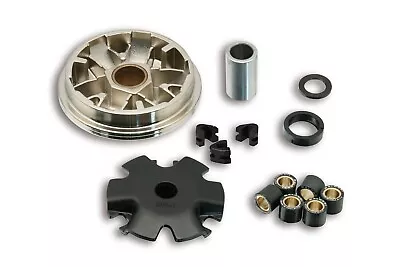 Malossi Variator For Honda Ruckus 5111852 • $79.97