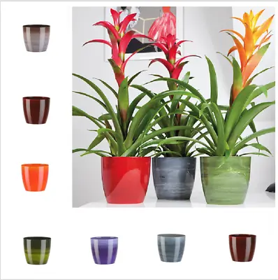 £6.49 • Buy Flower Pots Plant Pots 6.Colours Marble Plastic Plant Pots Planter  Round Deco