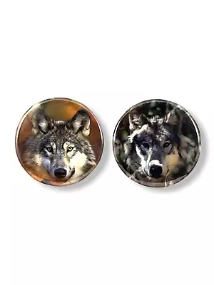 2.25 Inch Magnets Set Of 2 Cute Wolf For Fridge Kitchen Whiteboard • $7.35