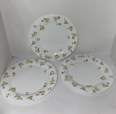 Martha Stewart France Milk Glass Dinner Plates 10.75” Everyday Floral Lot 3 • $18.99