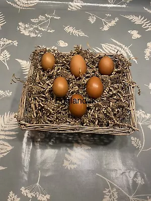 £15 • Buy 6x Fertile Cuckoo Maran Hatching Chicken Eggs Mixed Breeds