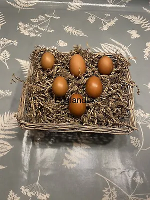 6x Fertile Cuckoo Maran Hatching Chicken Eggs Mixed Breeds • £18