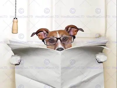 Photo Mock Up Jack Russell Toilet Reading Newspaper Art Print Poster Mp3951b • £11.99