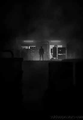 Heisenberg - 2013 Marko Manev Poster Print Breaking Bad Walter White Noir Series • $147