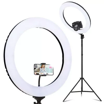 19  LED Ring Light 6500K 5800LM Dimmable Diva With Stand Make Up Studio Video • $115.06