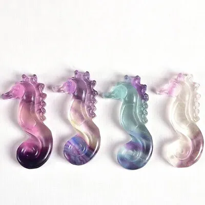 £7.19 • Buy 1pc Natural Rainbow Fluorite Carved Seahorse Hippocampus Quartz Crystal Healing