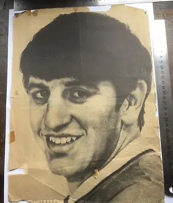Vintage 1963 Or 1964 Ringo Starr (Beatles) Picture • $45
