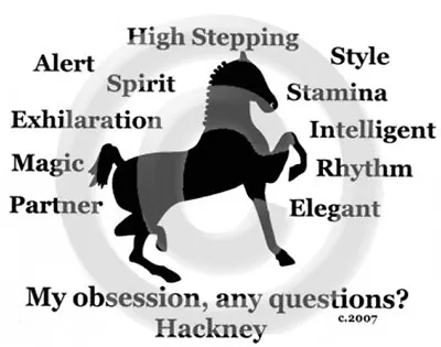 Hackney Pony Horse My Obsession Any Questions? T-shirt Choices • $16.50