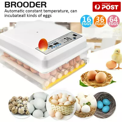 Fully Automatic 16/36/64 Egg Incubator Digital Led Turning Chicken Eggs Poultry • $102.99