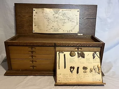 Antique Botanical Seeds Roots Bark Collectors Specimen Chest Drawers Cabinet • £850