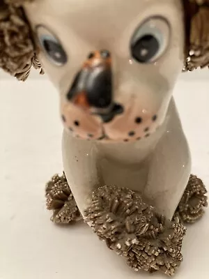 Vintage Spagetti Dog With Bug On Nose • $16