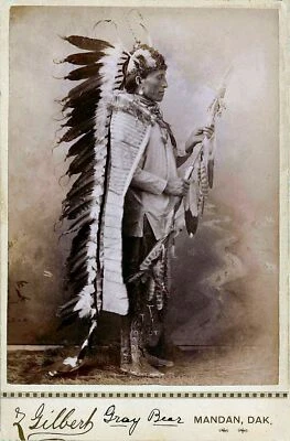 £4.20 • Buy Native American Indian Chief Gray Bear Portrait Photo Art Print Picture
