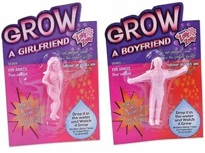 Grow Your Own Boyfriend Girlfriend Rude Adult Gift Ladies Mens Joke Secret Santa • £3.49
