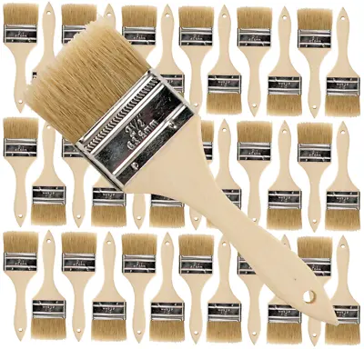 36 Pk- 2 1/2 Inch Chip Paint Brushes For Paint StainsVarnishesGluesGesso • $23.99