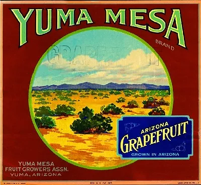 Yuma Mesa Arizona Grapefruit Citrus Fruit Crate Label Vintage Art Print • $11.19