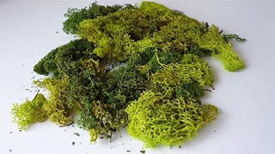 Javis Mixed Green Model Scenic Lichen - Approx 60 Grams • £8.99