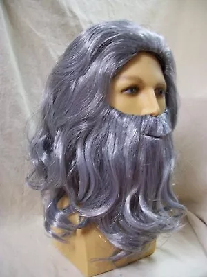 Gray Renaissance Man Wig Beard Medieval Wizard Father Time Noah Moses Biblical • $17.95