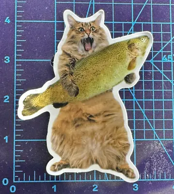 OMG! Can You Believe This FISH ! - Vinyl Sticker Decal Sticker Bomb Macho Cat • $4.99