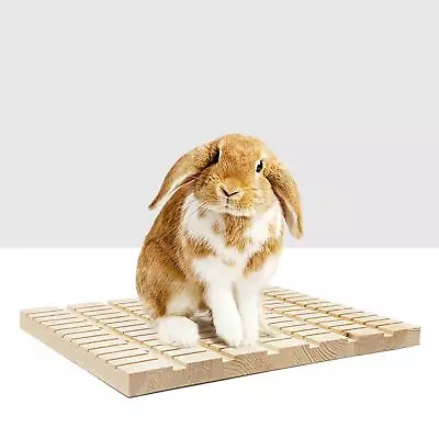 Rabbit Scratching Board Claws Care Cage Accessories Pad • £10.14