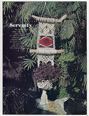 Macrame Plus Vintage Book HH11 Driftwood Wall Hangings & Plant Hangers Patterns • $11.77