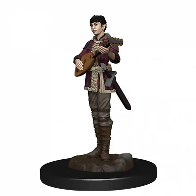 $20.95 • Buy Dungeons & Dragons Premium Female Half-Elf Bard Pre-Painted Figure