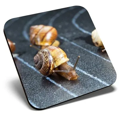 Square Single Coaster - Racing Snails Race Funny Insect Snail  #24221 • £4.99