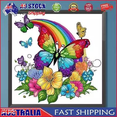 5D DIY Partial Special Shaped Drill Diamond Painting Rainbow Butterfly 30x30cm A • $11.49