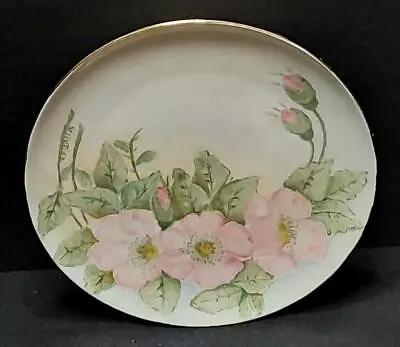 $24.99 • Buy Vtg Eschenbach Bavaria Baronet China Germany 6.25  Floral Plate Signed VlieT.57.